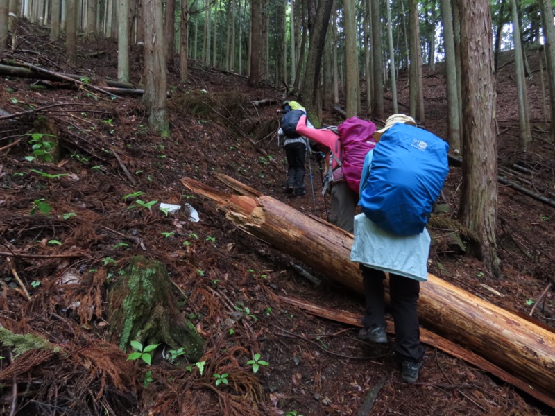 笹子雁ヶ腹摺山