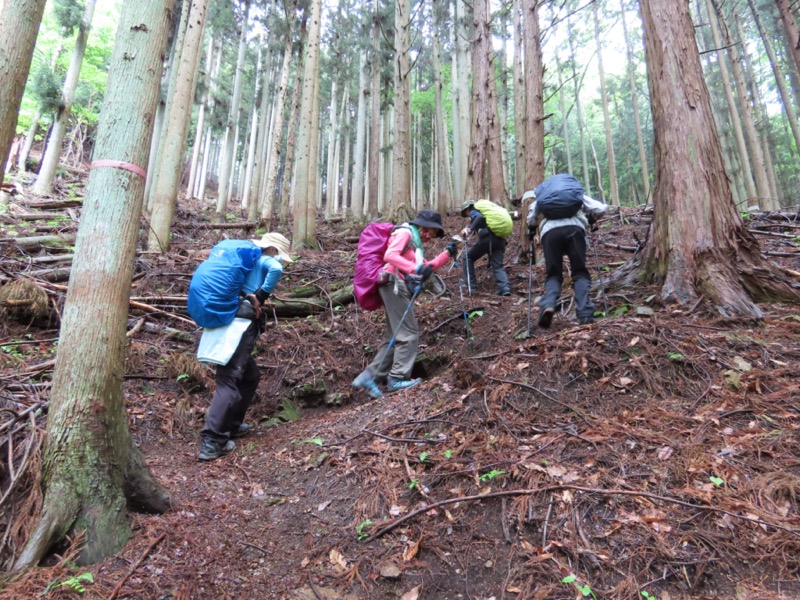 笹子雁ヶ腹摺山