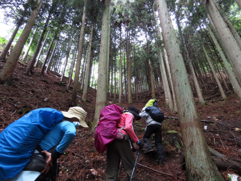 笹子雁ヶ腹摺山