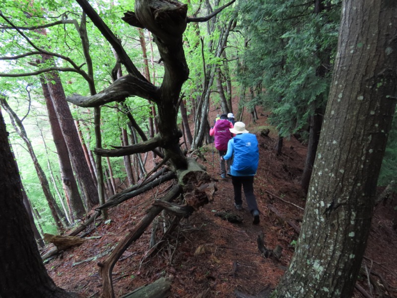 笹子雁ヶ腹摺山