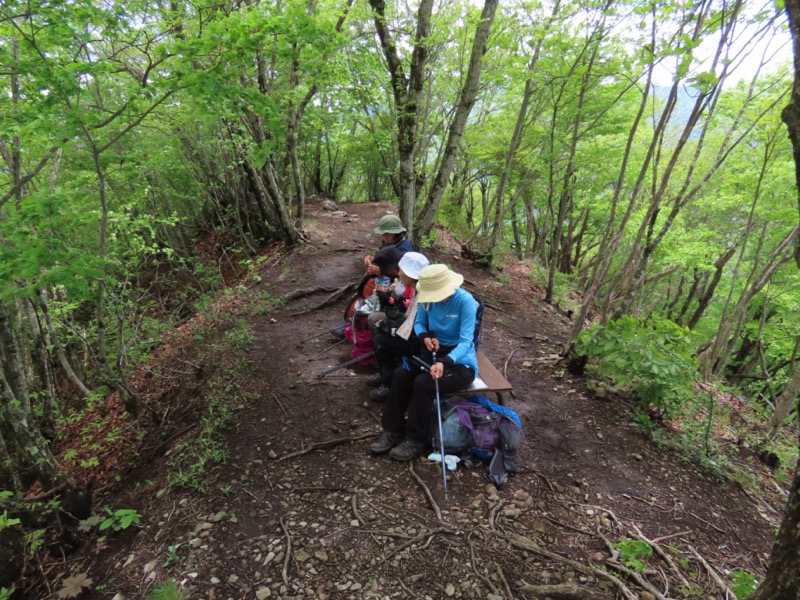 笹子雁ヶ腹摺山