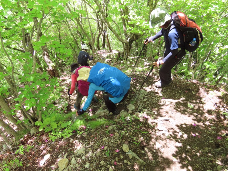 笹子雁ヶ腹摺山