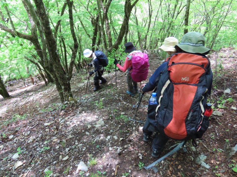 笹子雁ヶ腹摺山