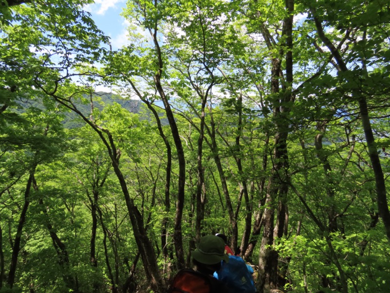 笹子雁ヶ腹摺山