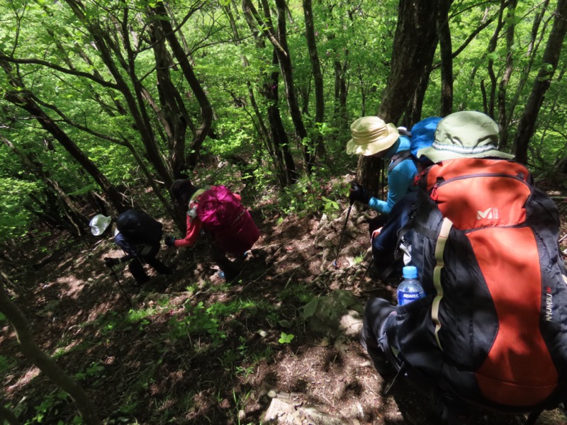 笹子雁ヶ腹摺山