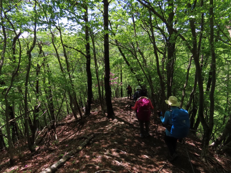 笹子雁ヶ腹摺山