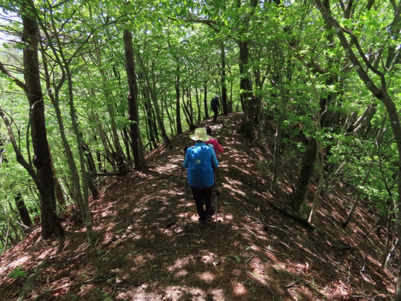 笹子雁ヶ腹摺山