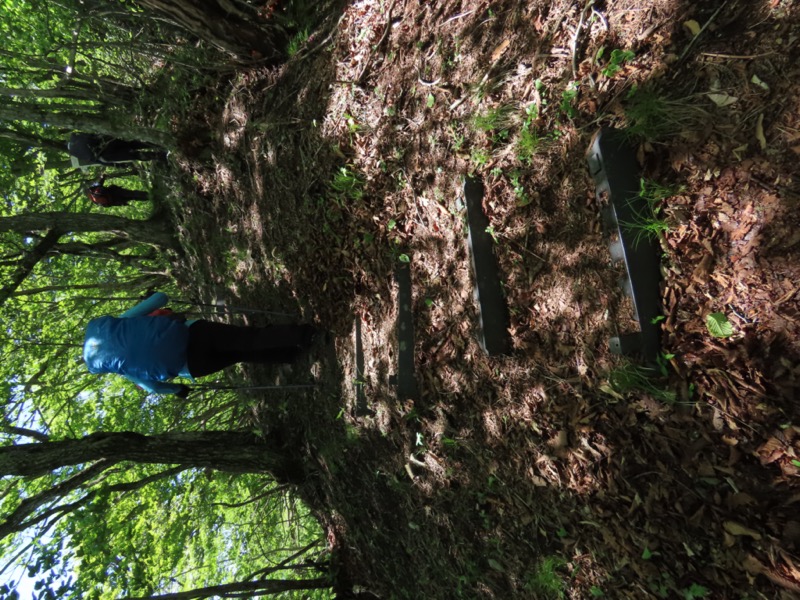 笹子雁ヶ腹摺山