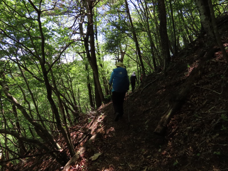 笹子雁ヶ腹摺山