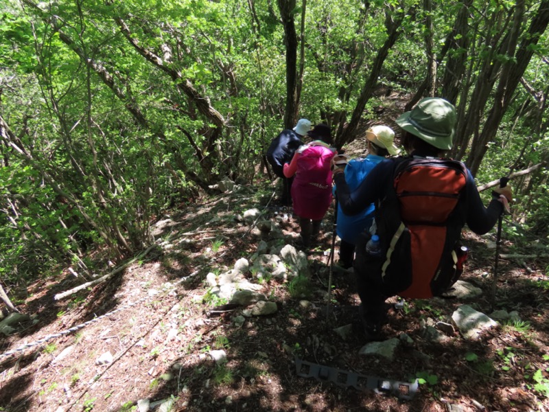 笹子雁ヶ腹摺山