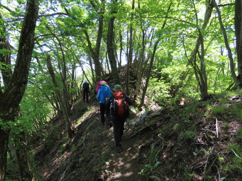 笹子雁ヶ腹摺山