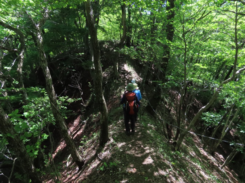 笹子雁ヶ腹摺山