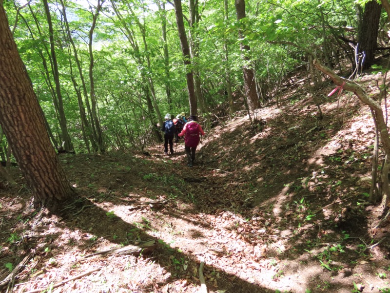 笹子雁ヶ腹摺山