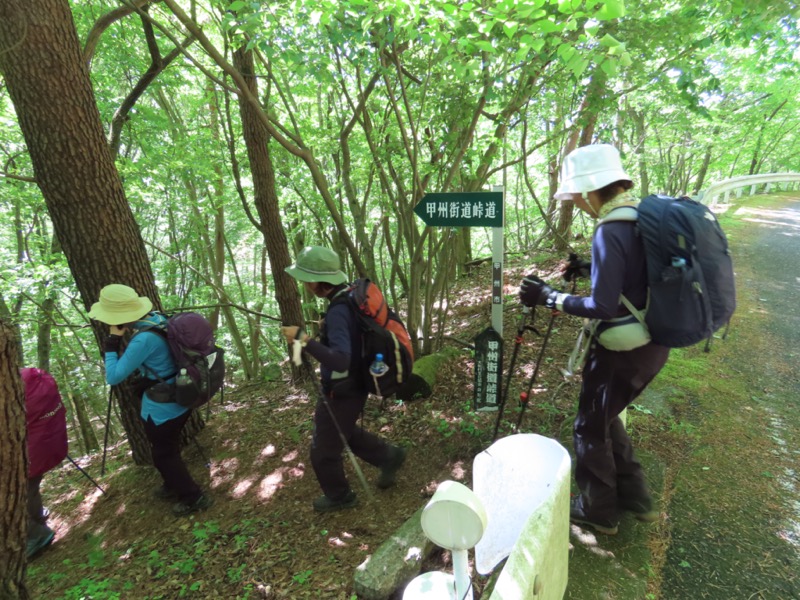 笹子雁ヶ腹摺山