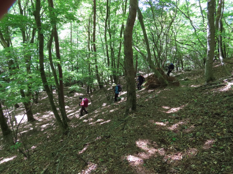 笹子雁ヶ腹摺山