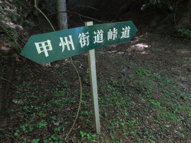 笹子雁ヶ腹摺山