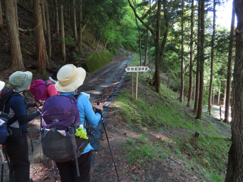 笹子雁ヶ腹摺山