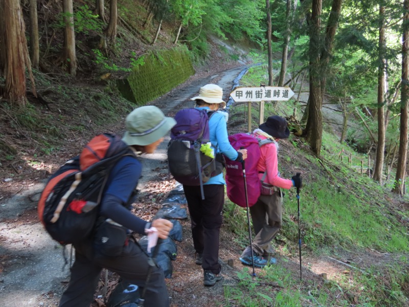 笹子雁ヶ腹摺山