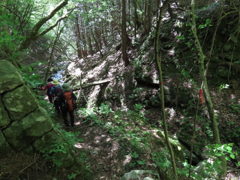 笹子雁ヶ腹摺山