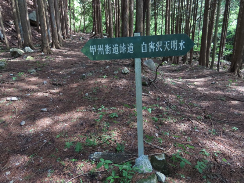 笹子雁ヶ腹摺山