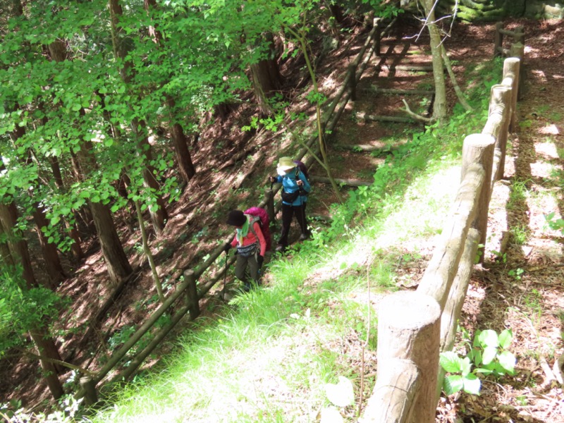 笹子雁ヶ腹摺山