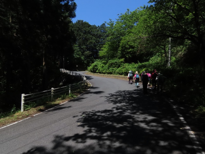 堂平山、ときがわトレッキング