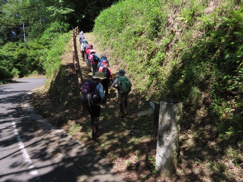 堂平山、ときがわトレッキング