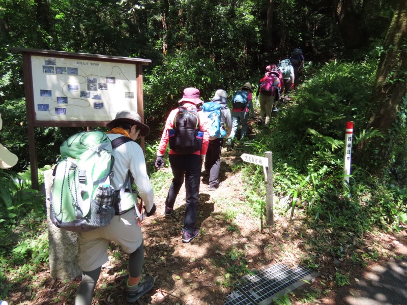 堂平山、ときがわトレッキング