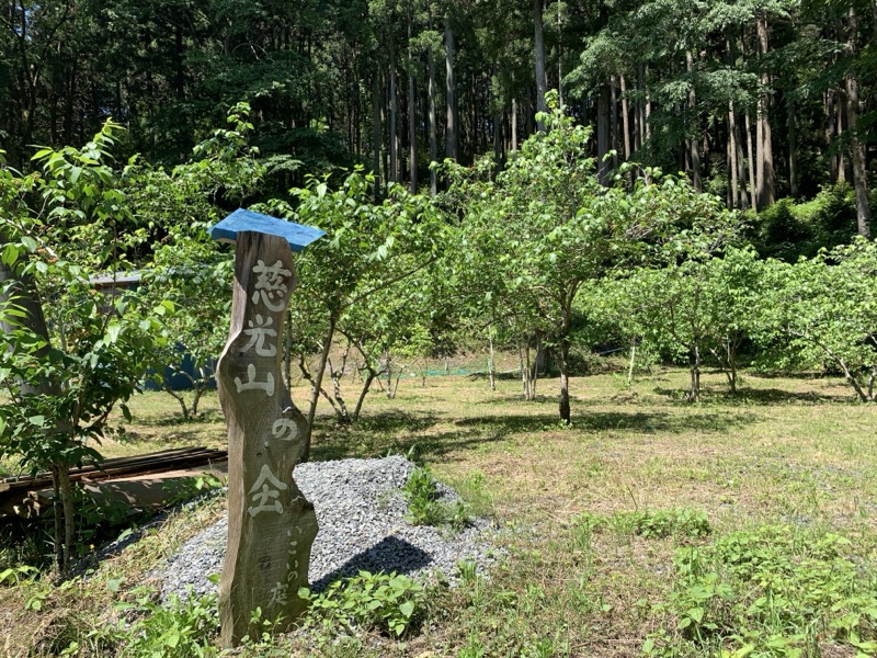 堂平山、ときがわトレッキング