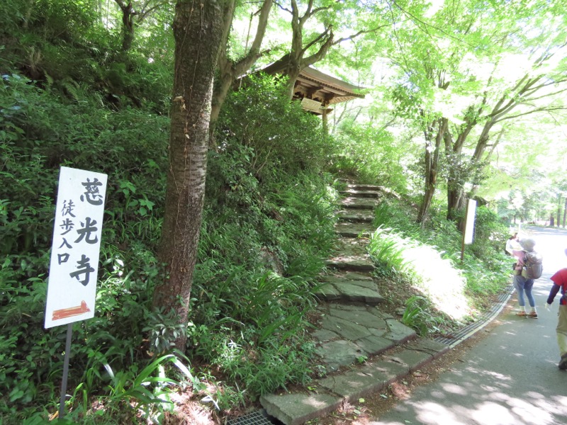 堂平山、ときがわトレッキング