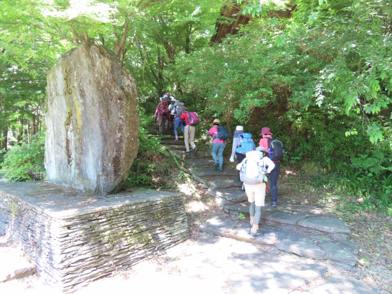 堂平山、ときがわトレッキング