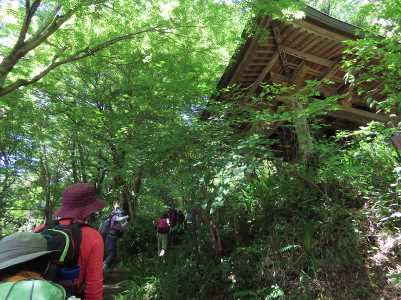 堂平山、ときがわトレッキング