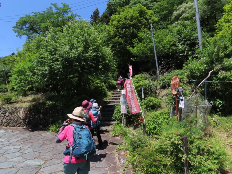 堂平山、ときがわトレッキング