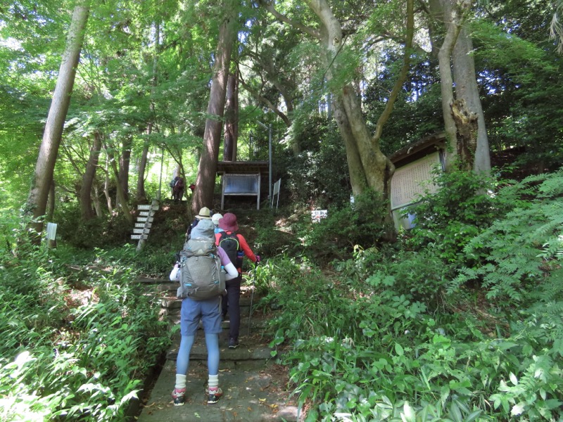 堂平山、ときがわトレッキング