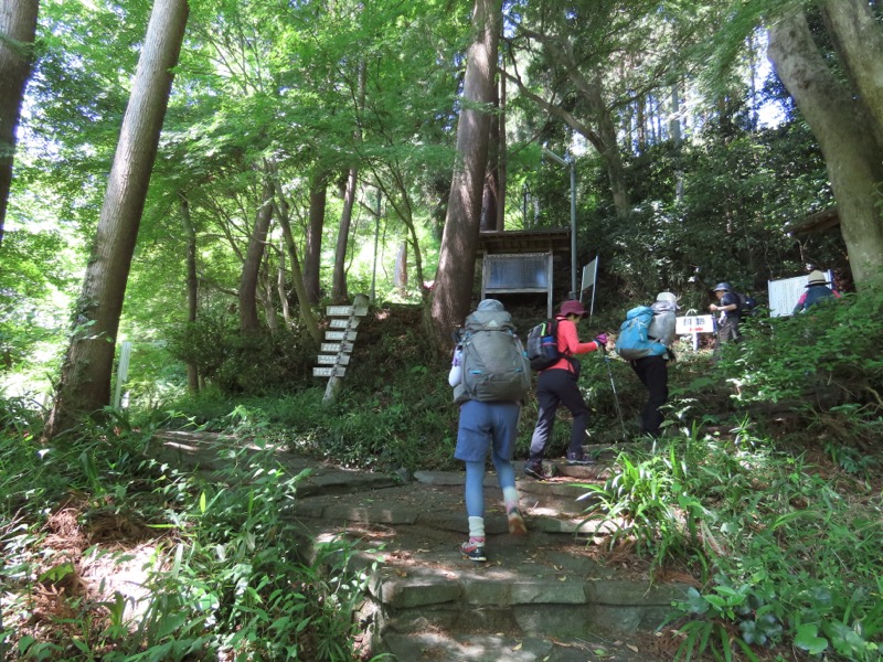 堂平山、ときがわトレッキング