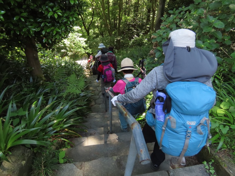 堂平山、ときがわトレッキング