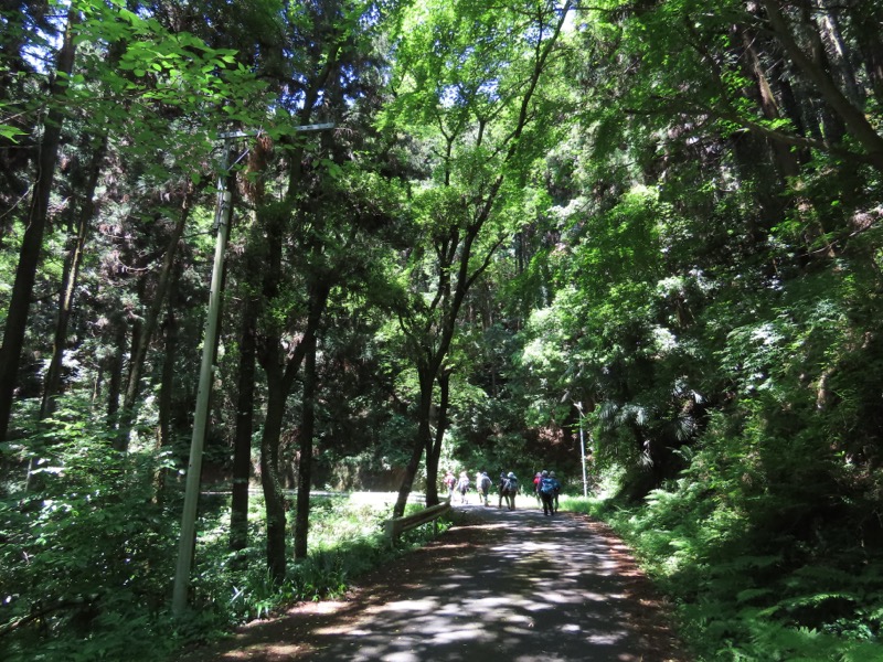 堂平山、ときがわトレッキング