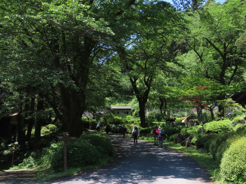 堂平山、ときがわトレッキング