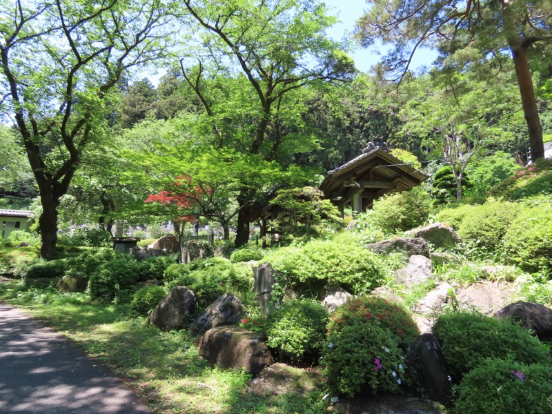 堂平山、ときがわトレッキング