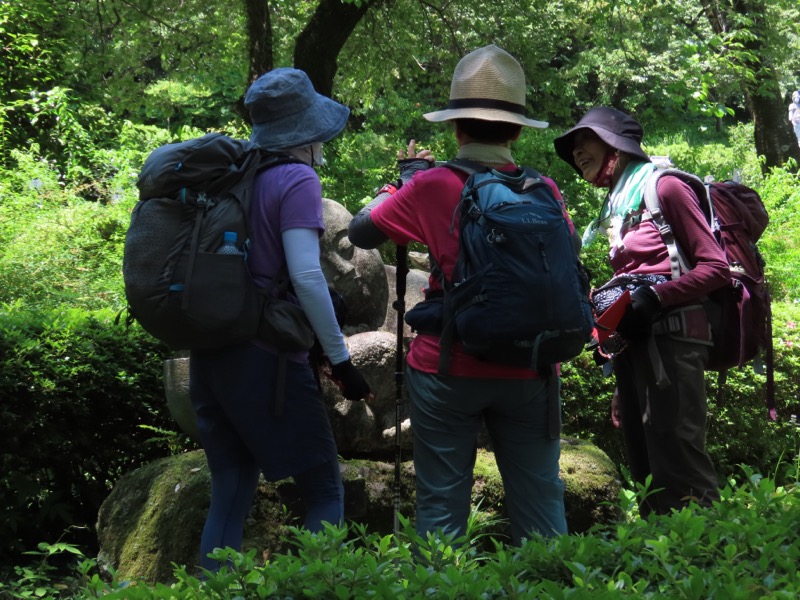 堂平山、ときがわトレッキング