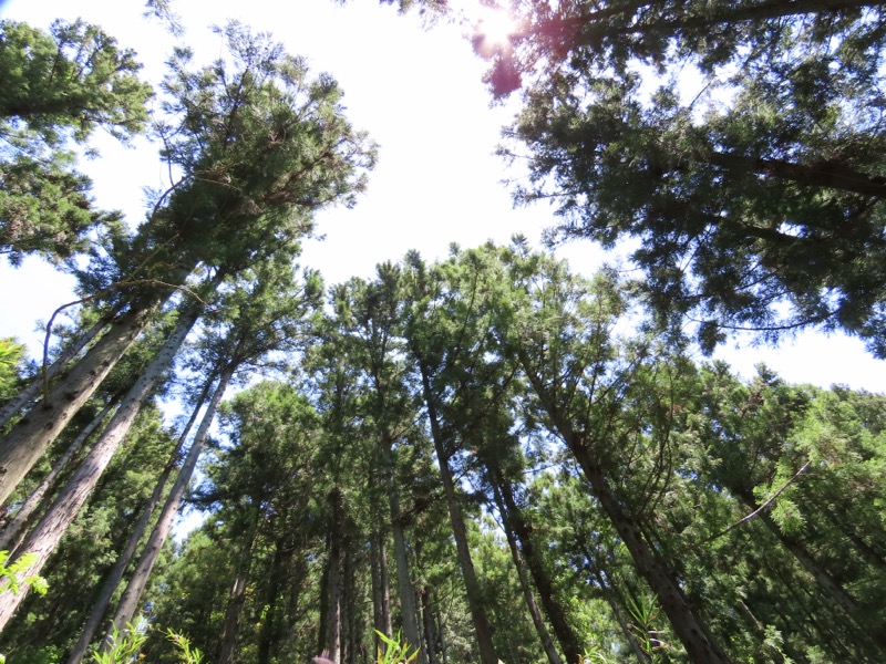 堂平山、ときがわトレッキング