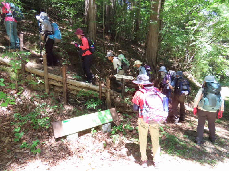 堂平山、ときがわトレッキング