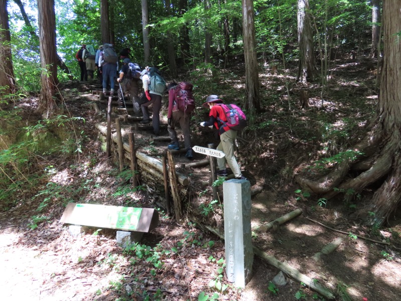 堂平山、ときがわトレッキング