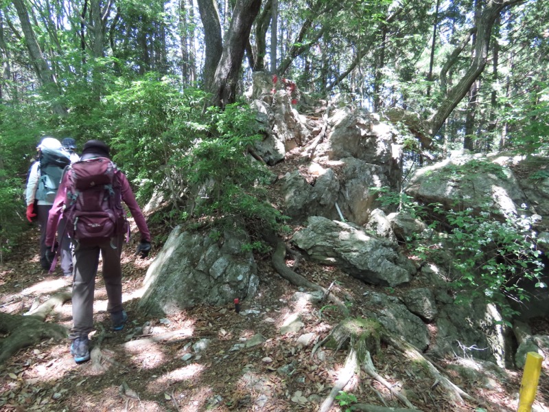 堂平山、ときがわトレッキング