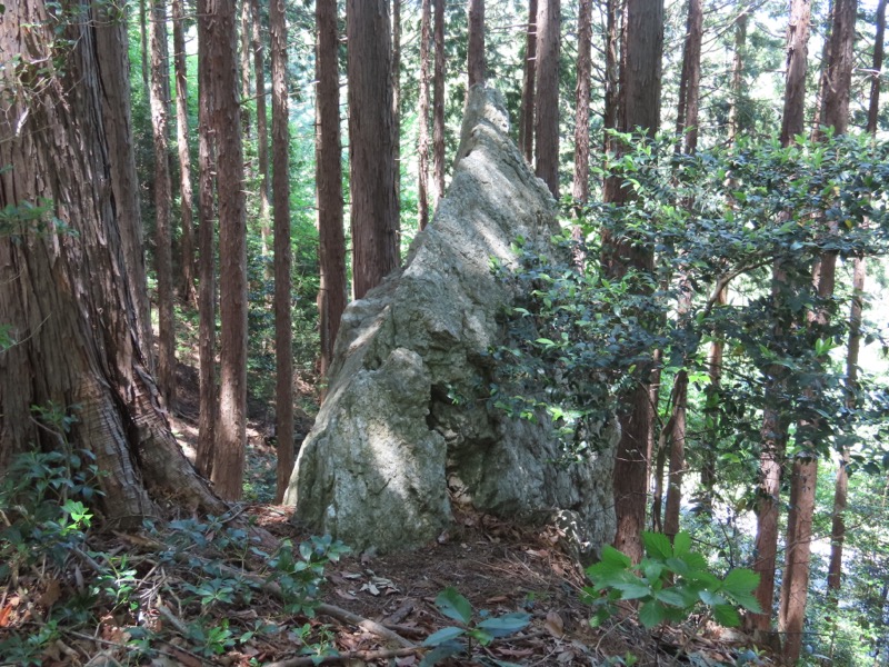 堂平山、ときがわトレッキング