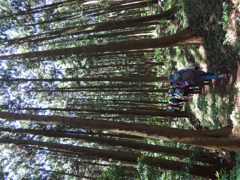 堂平山、ときがわトレッキング