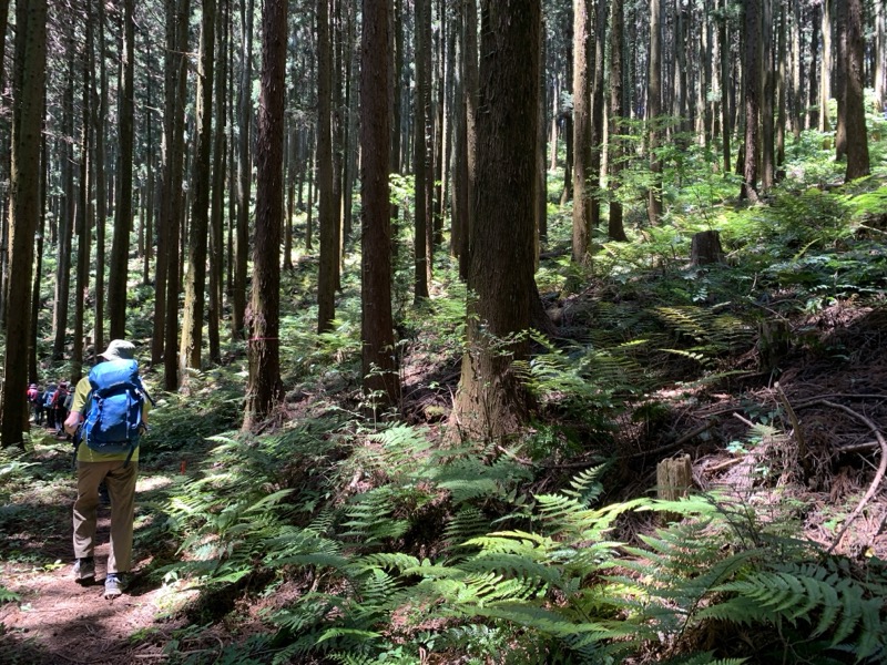 堂平山、ときがわトレッキング