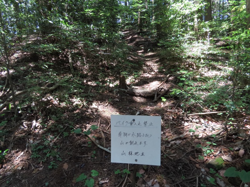 堂平山、ときがわトレッキング