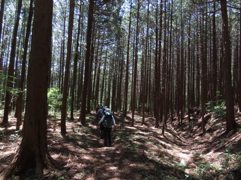 堂平山、ときがわトレッキング