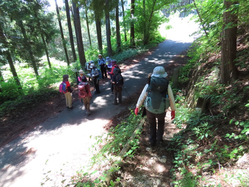 堂平山、ときがわトレッキング